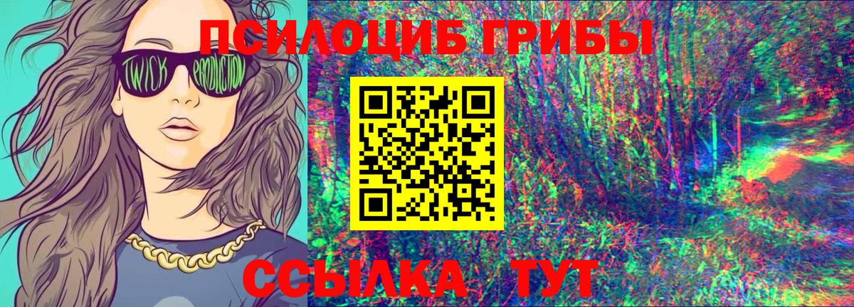 Псилоцибиновые грибы мицелий Заринск
