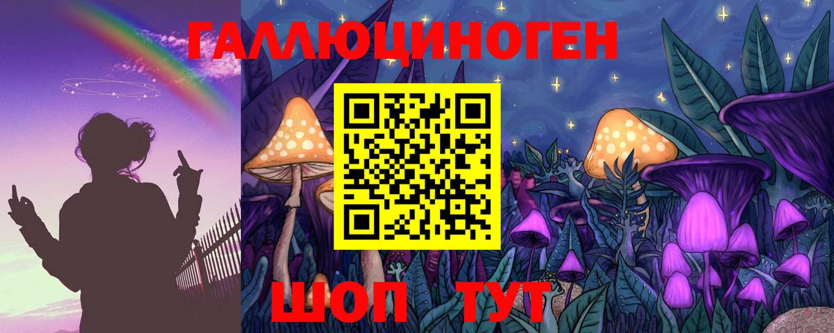наркота  Псилоцибиновые грибы MAGIC MUSHROOMS  Заринск  Вход с VPN  Галлюциногенные грибы Cubensis 