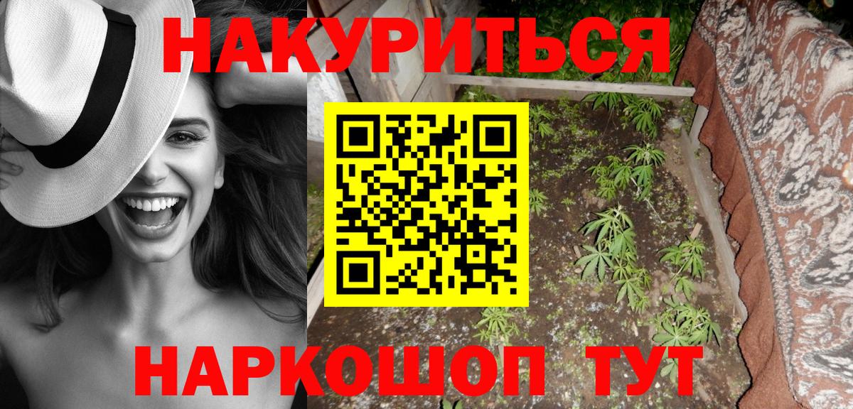 Бошки марихуана Amnesia Заринск